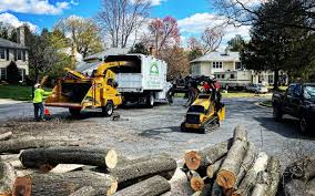 Best Tree Risk Assessment  in USA